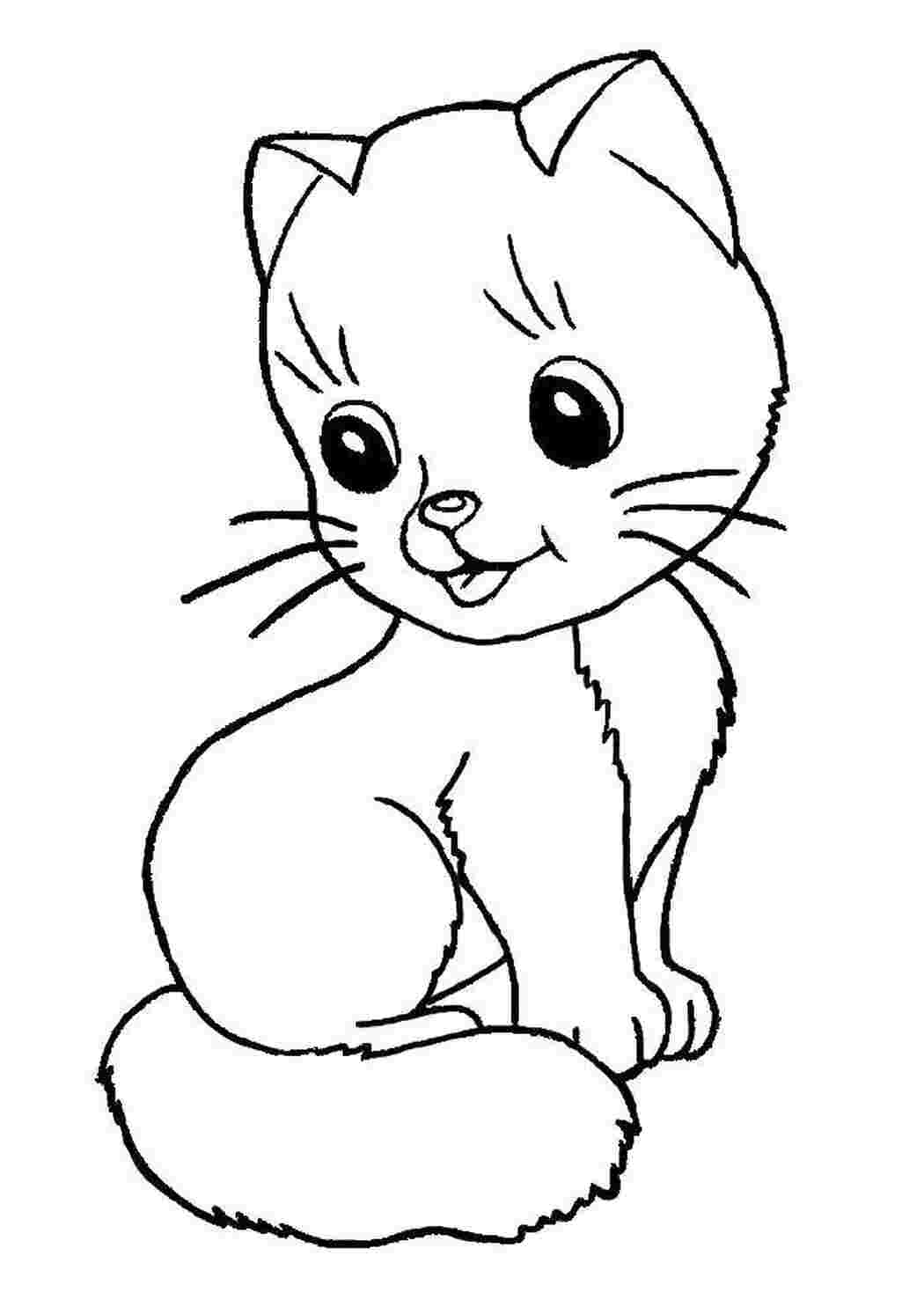 Раскраска Кошеня