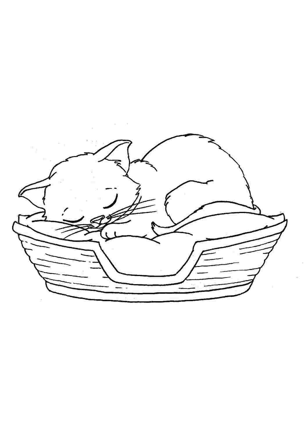 Раскраска Кошеня спить
