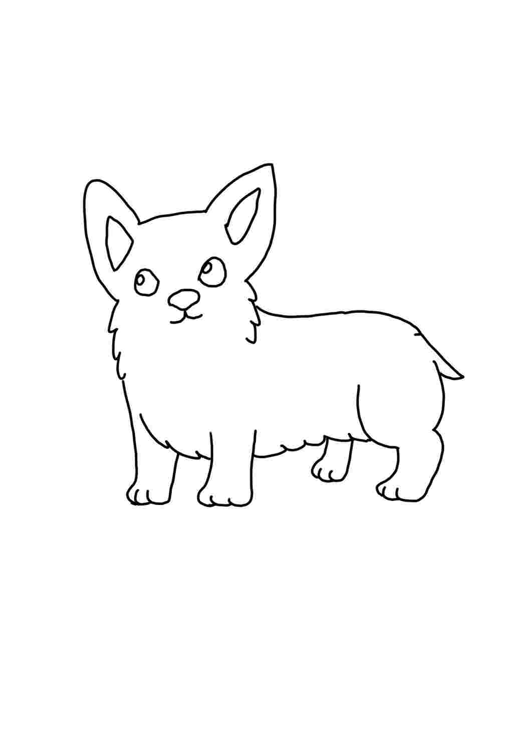 Раскраска Гарні розмальовки Розфарбування коргі Цуценя коргі для малюків