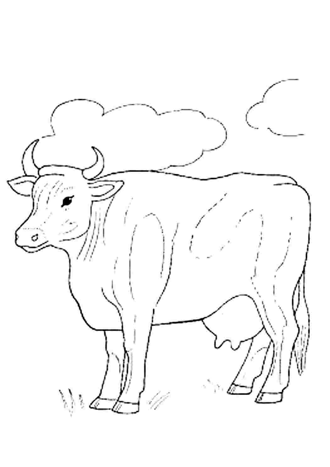 Раскраска Корову на лугу