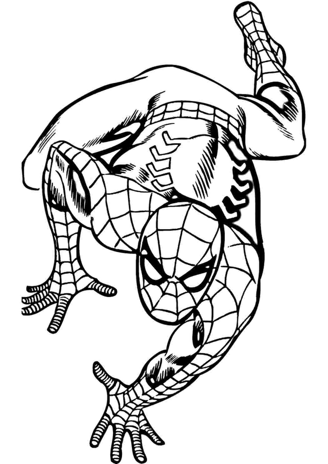 Раскраска Гарні розмальовки Людина павук крадеться