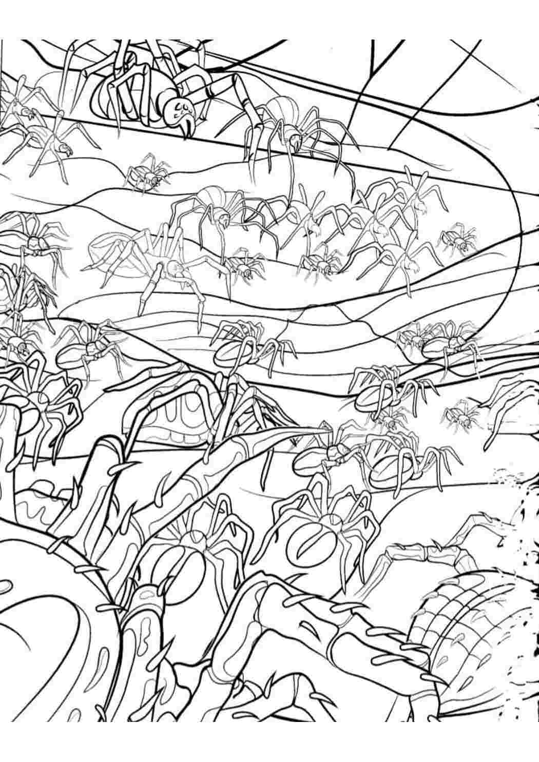 Раскраска Гарні розмальовки Розмальовка Гаррі Поттер Павуки з фільму Таємна кімната