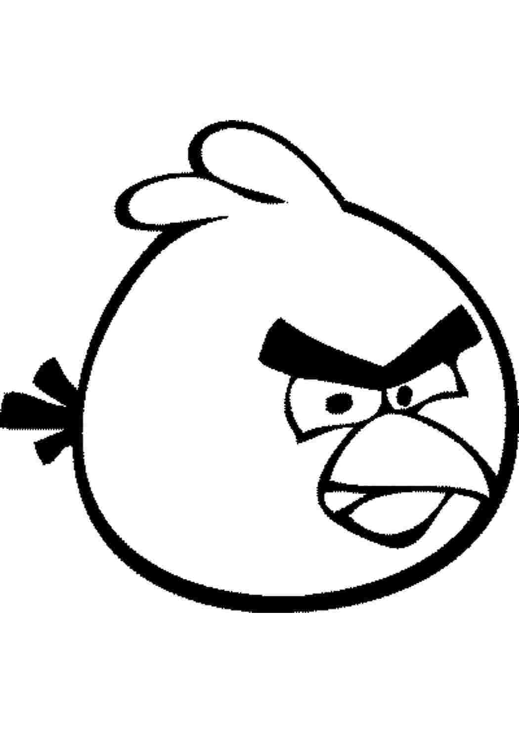 Раскраска Пташка з Angry Birds