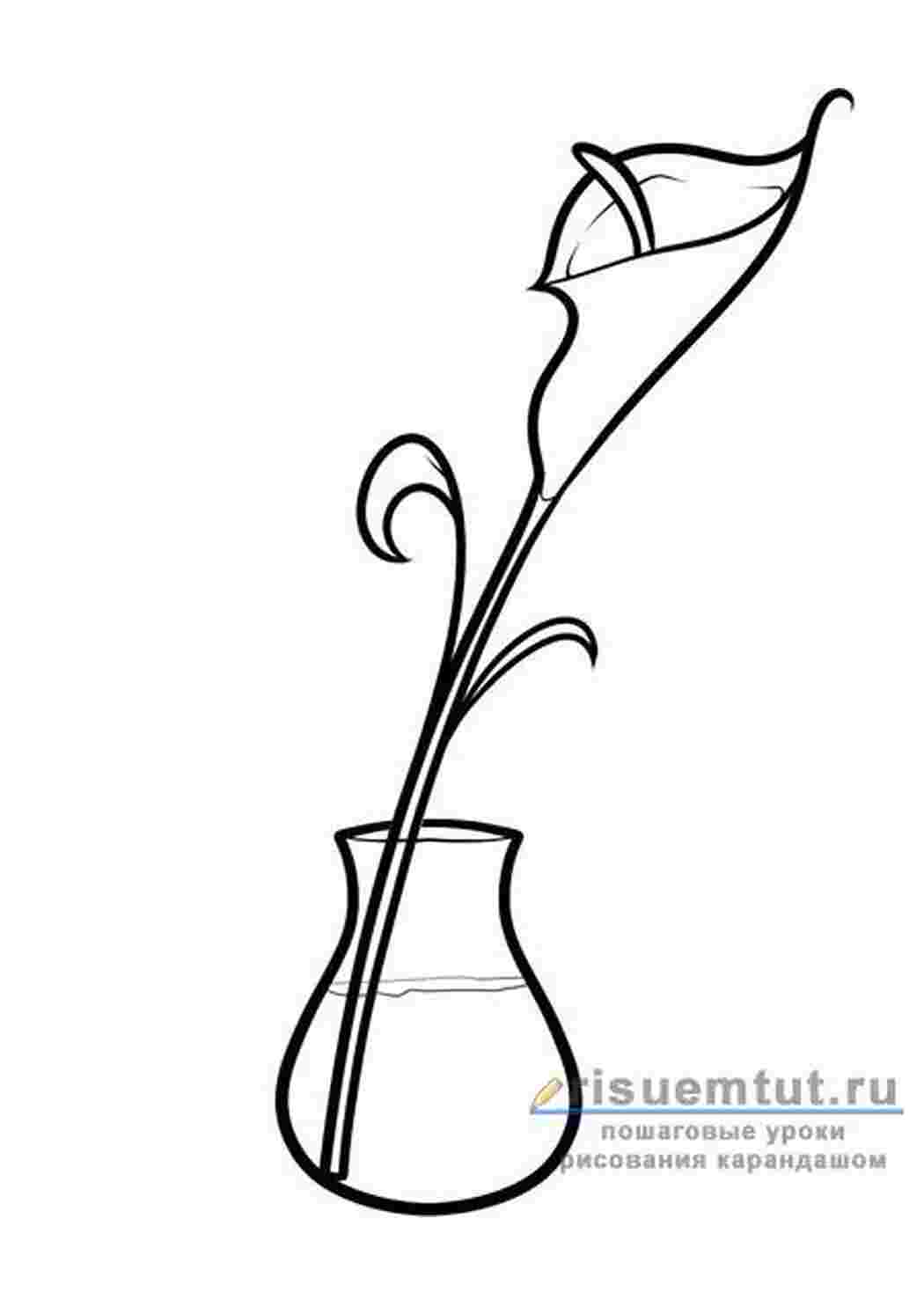 Раскраска Квітка у вазі