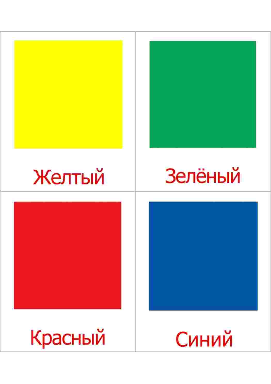 Раскраска картка квітів різні квіти