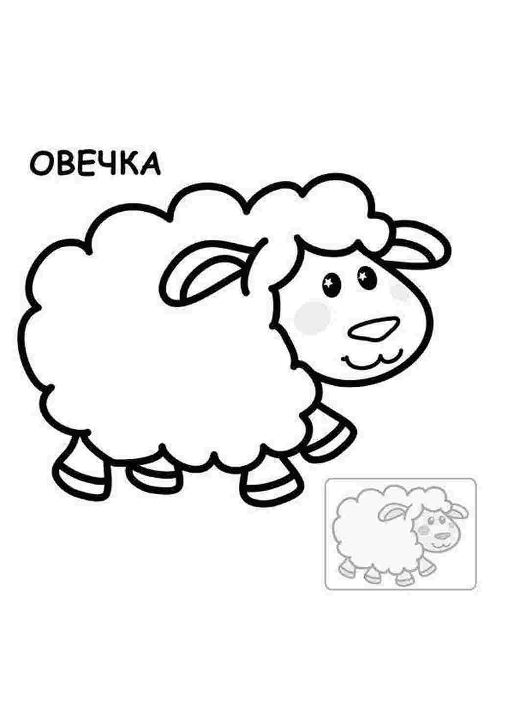 Раскраска Малюнок вівці