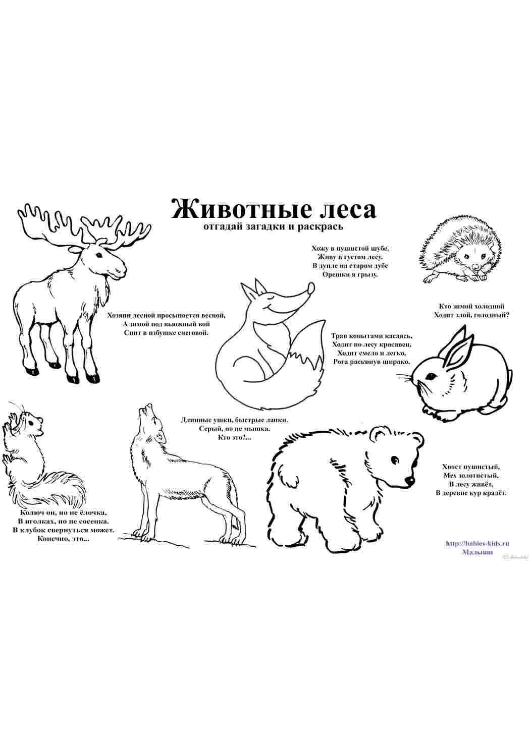 Раскраска Лісові тварини