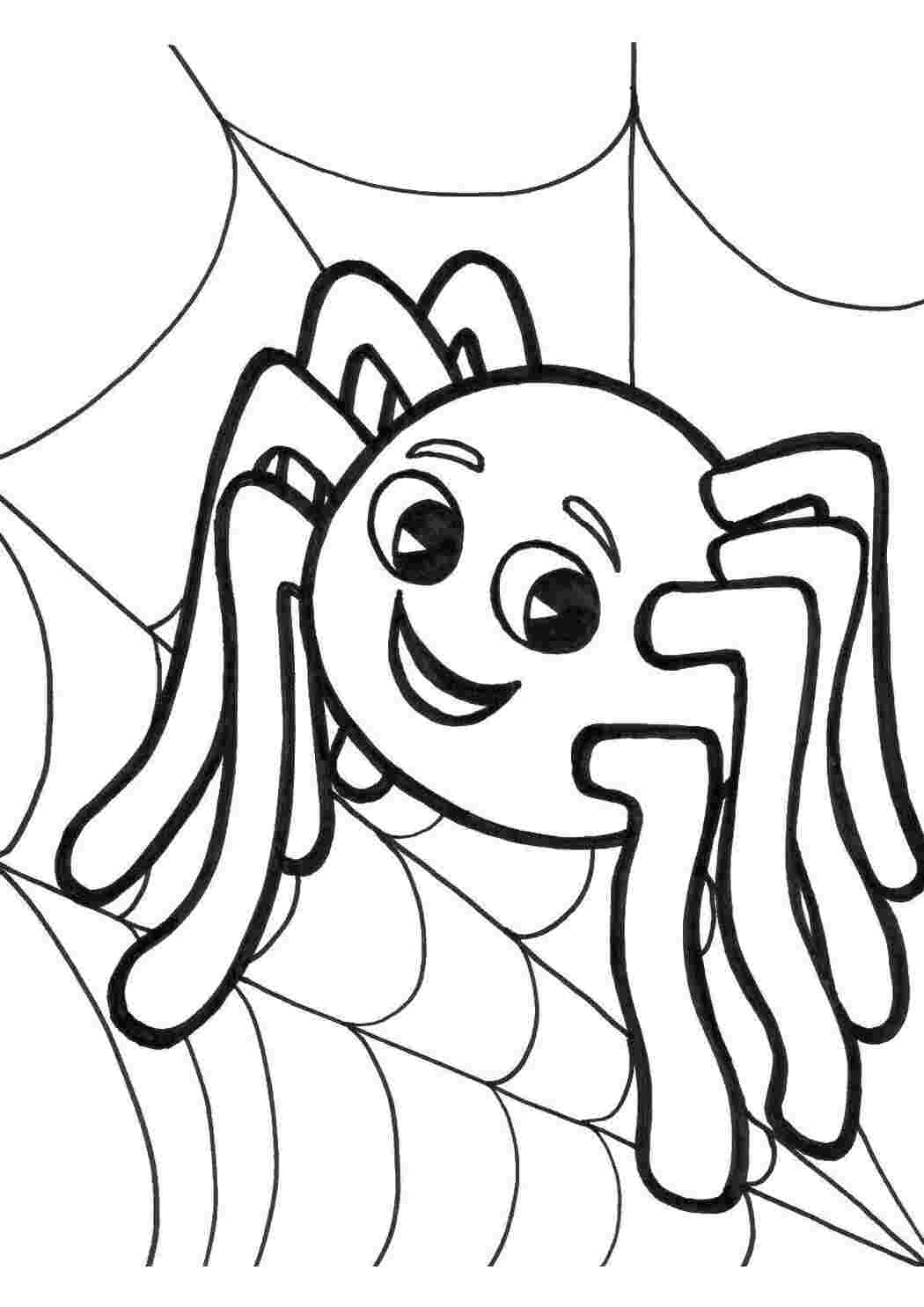 Раскраска Пацюк на павутині