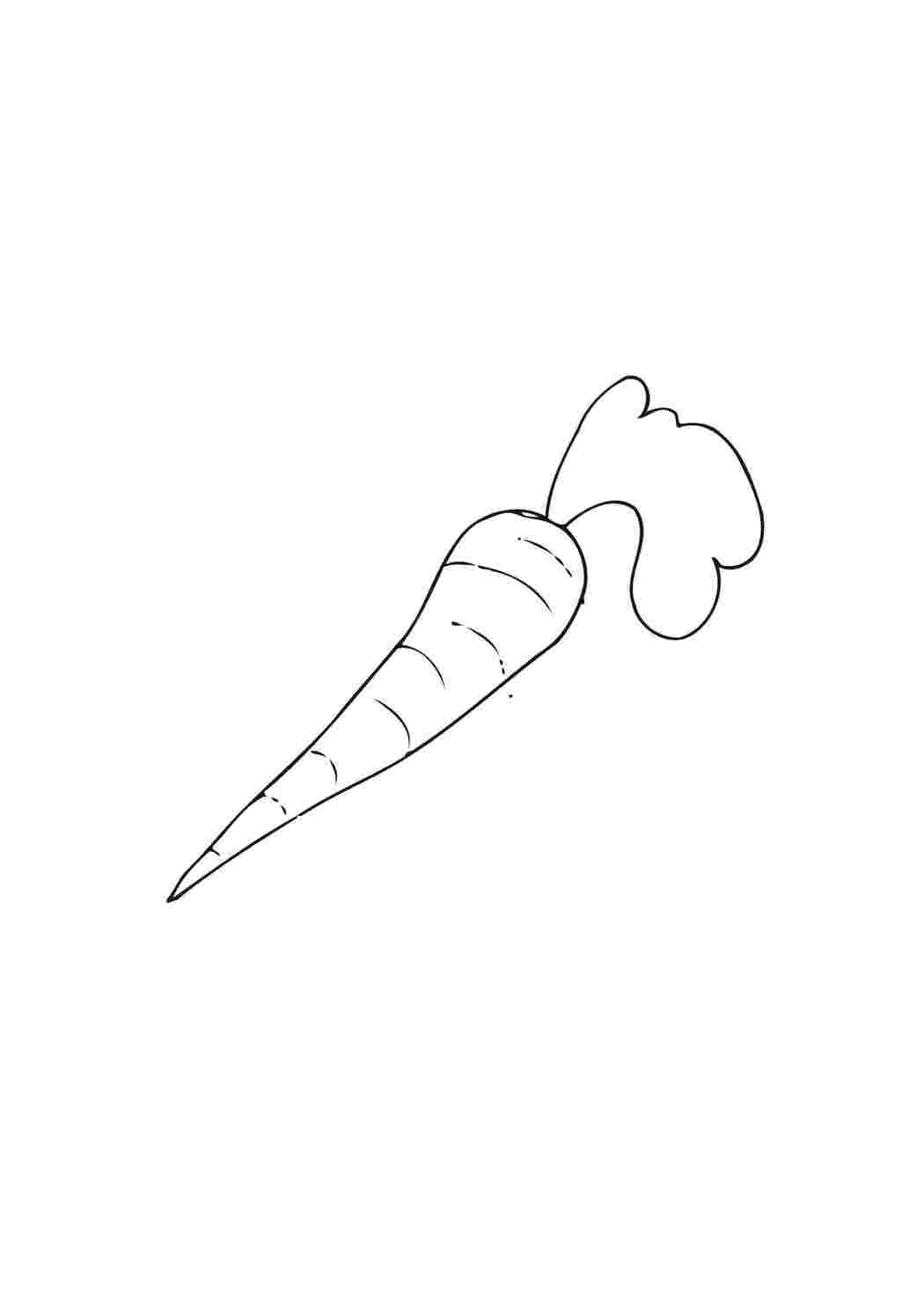 Раскраска Морква
