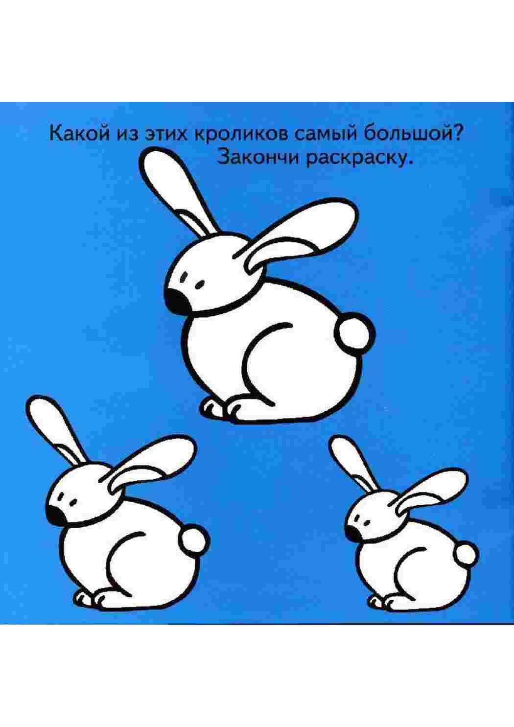 Раскраска Зайчики