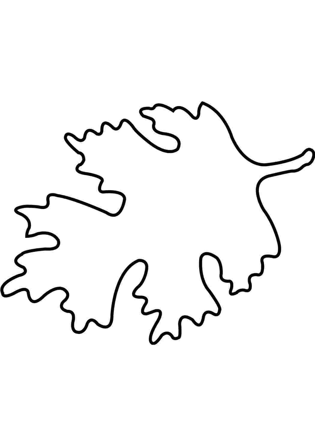 Раскраска Лист дуба