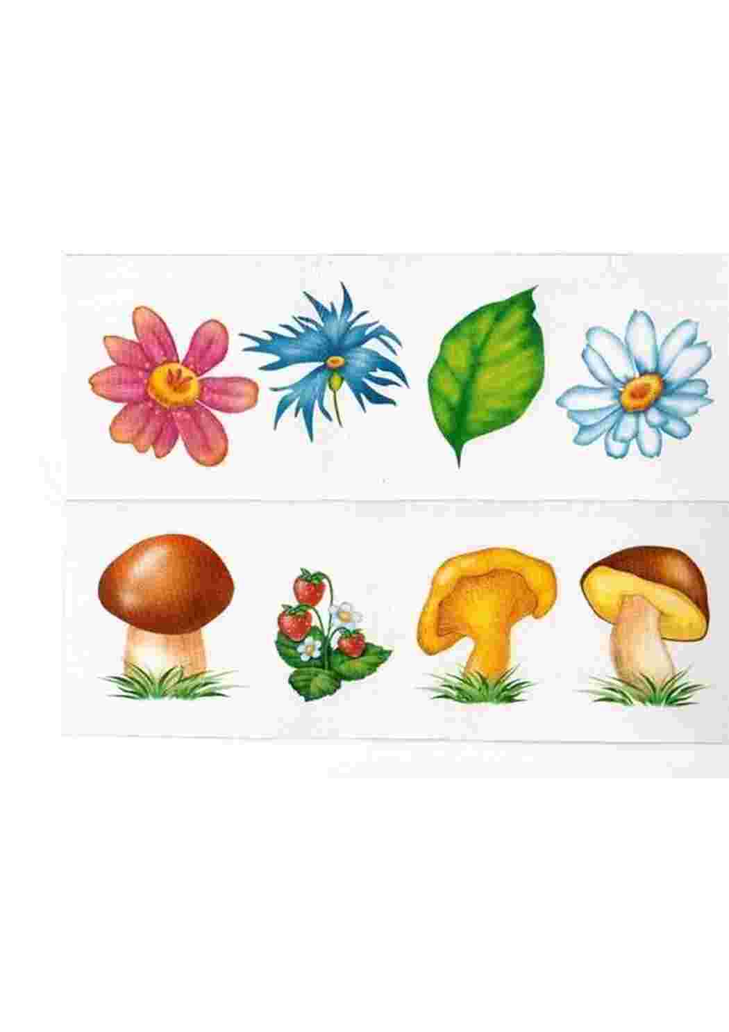 Раскраска ігри знайти зайве картинка дитячі
