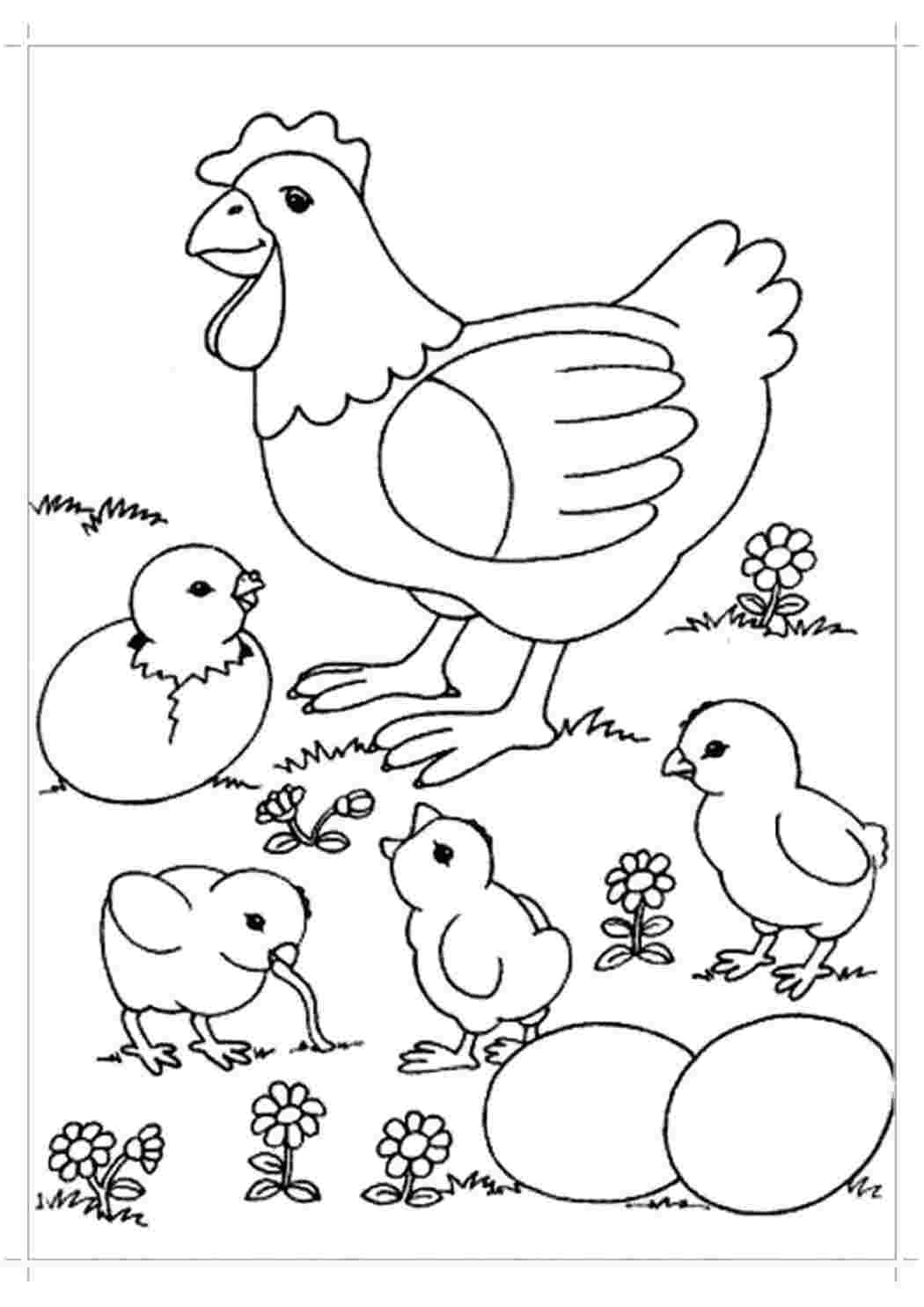 Раскраска курка з курчатами