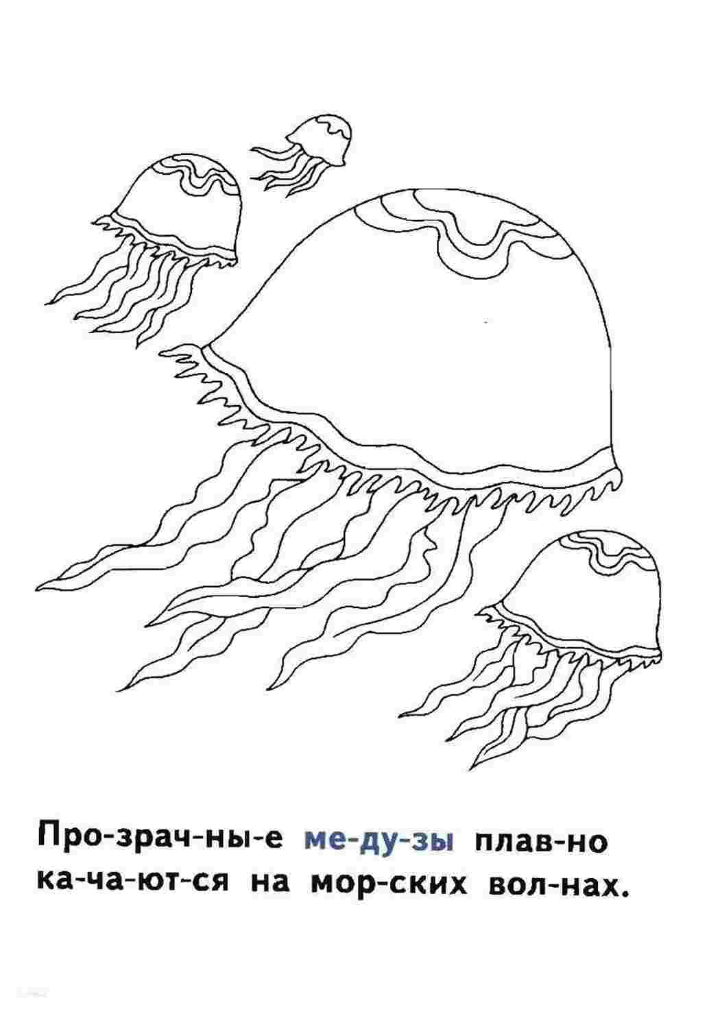 Раскраска Медузи