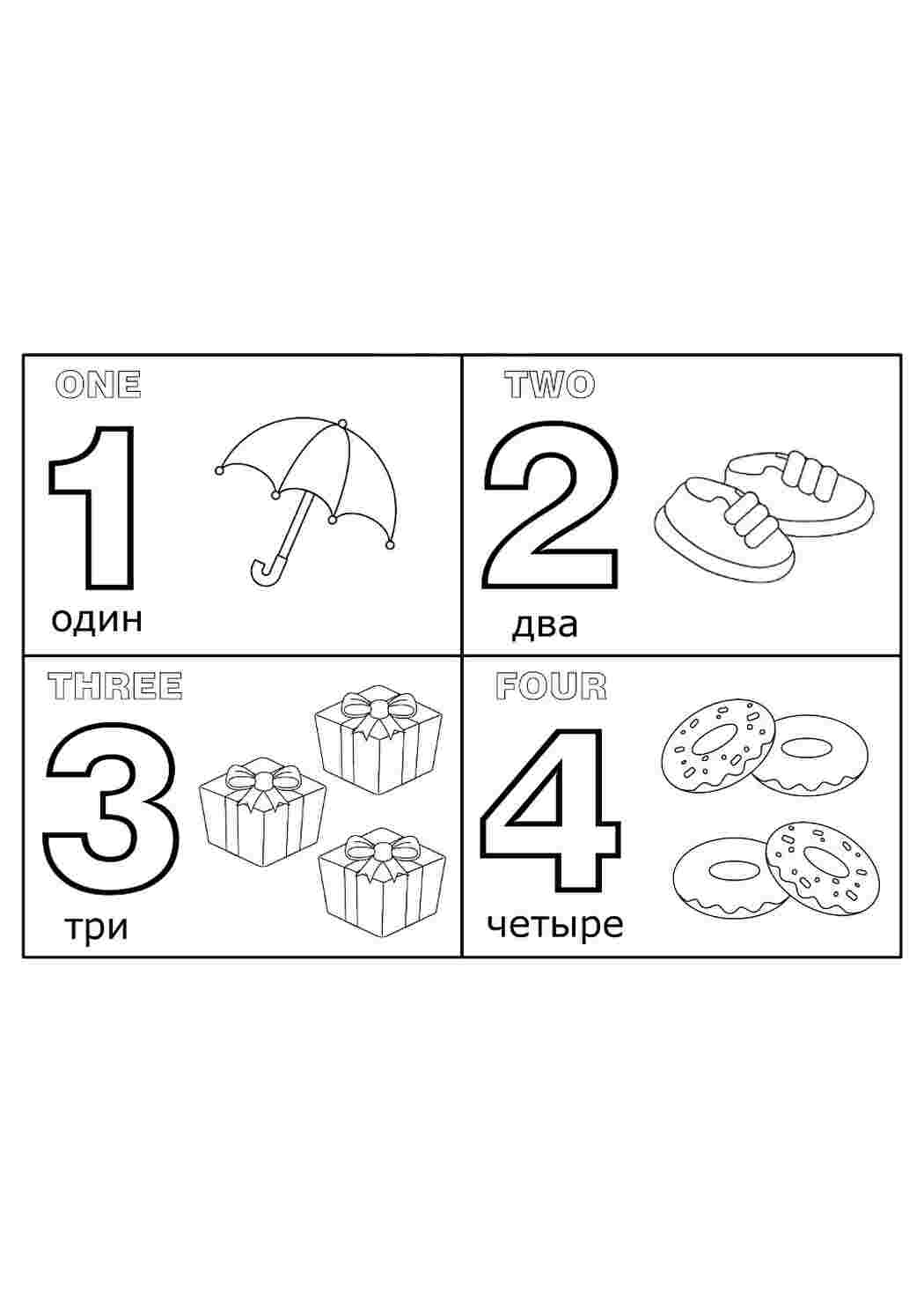 Раскраска Навчальні розмальовки