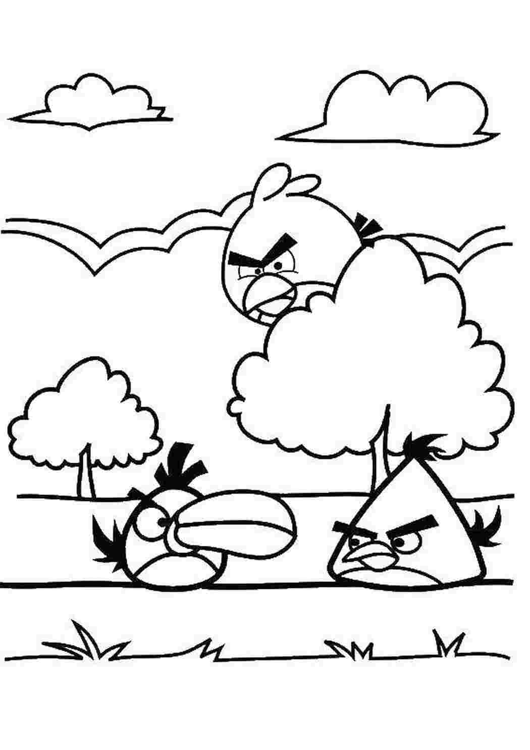 Раскраска Пташки з Angry Birds