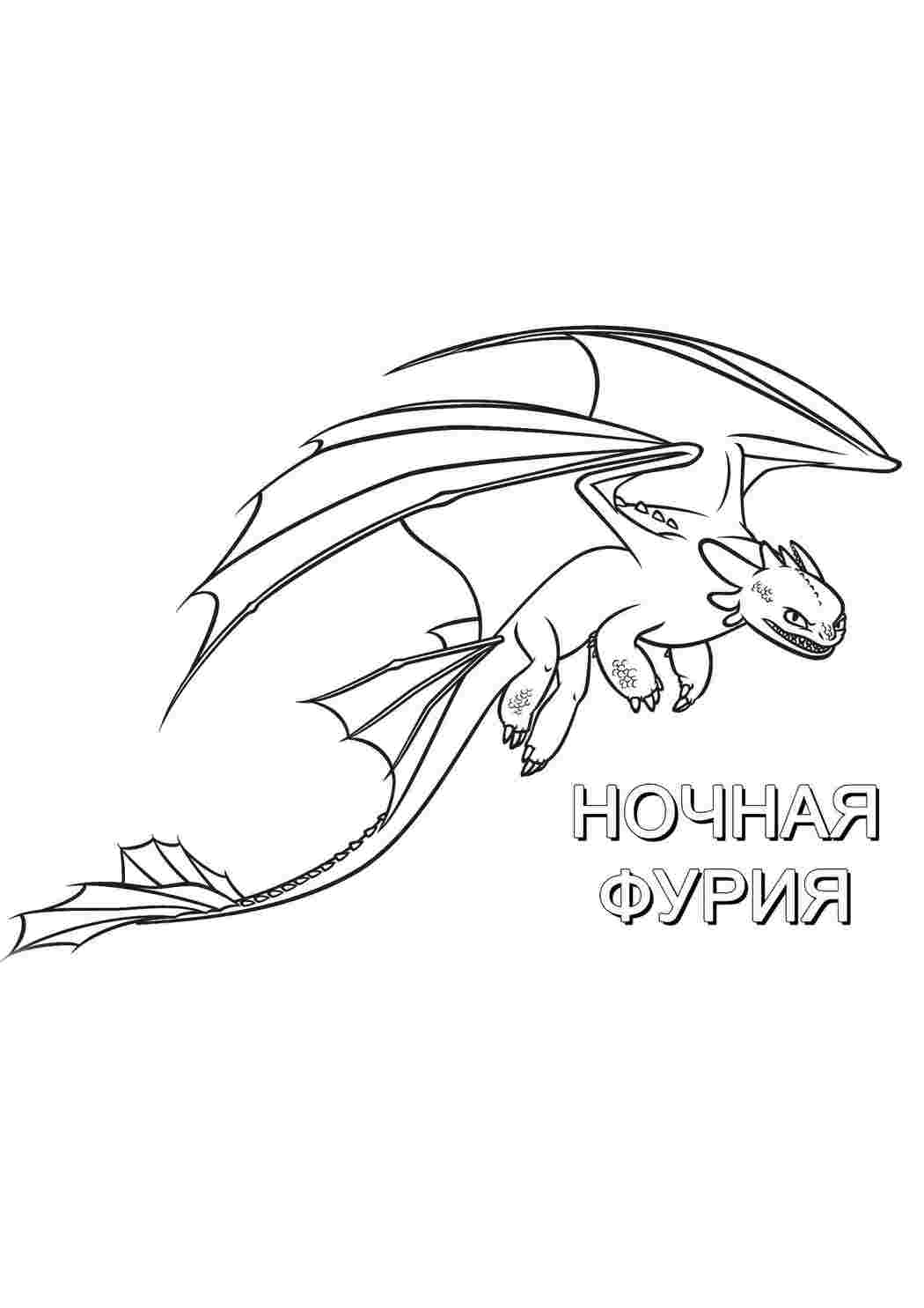 Раскраска Нічна Лють