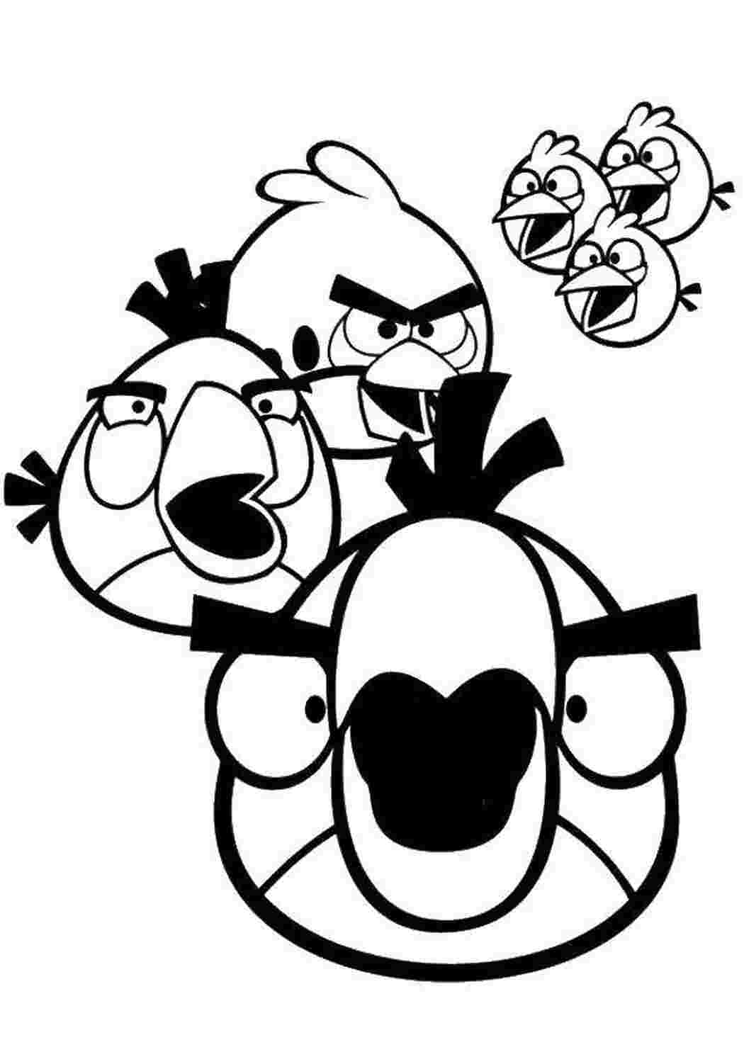 Раскраска Пташки з Angry Birds