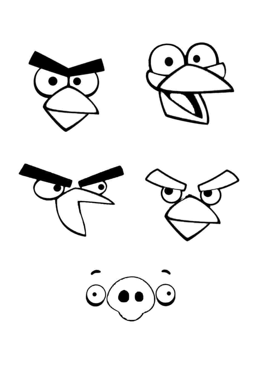 Раскраска Гарні розмальовки Три різні пташки Angry Birds розмальовка для дітей