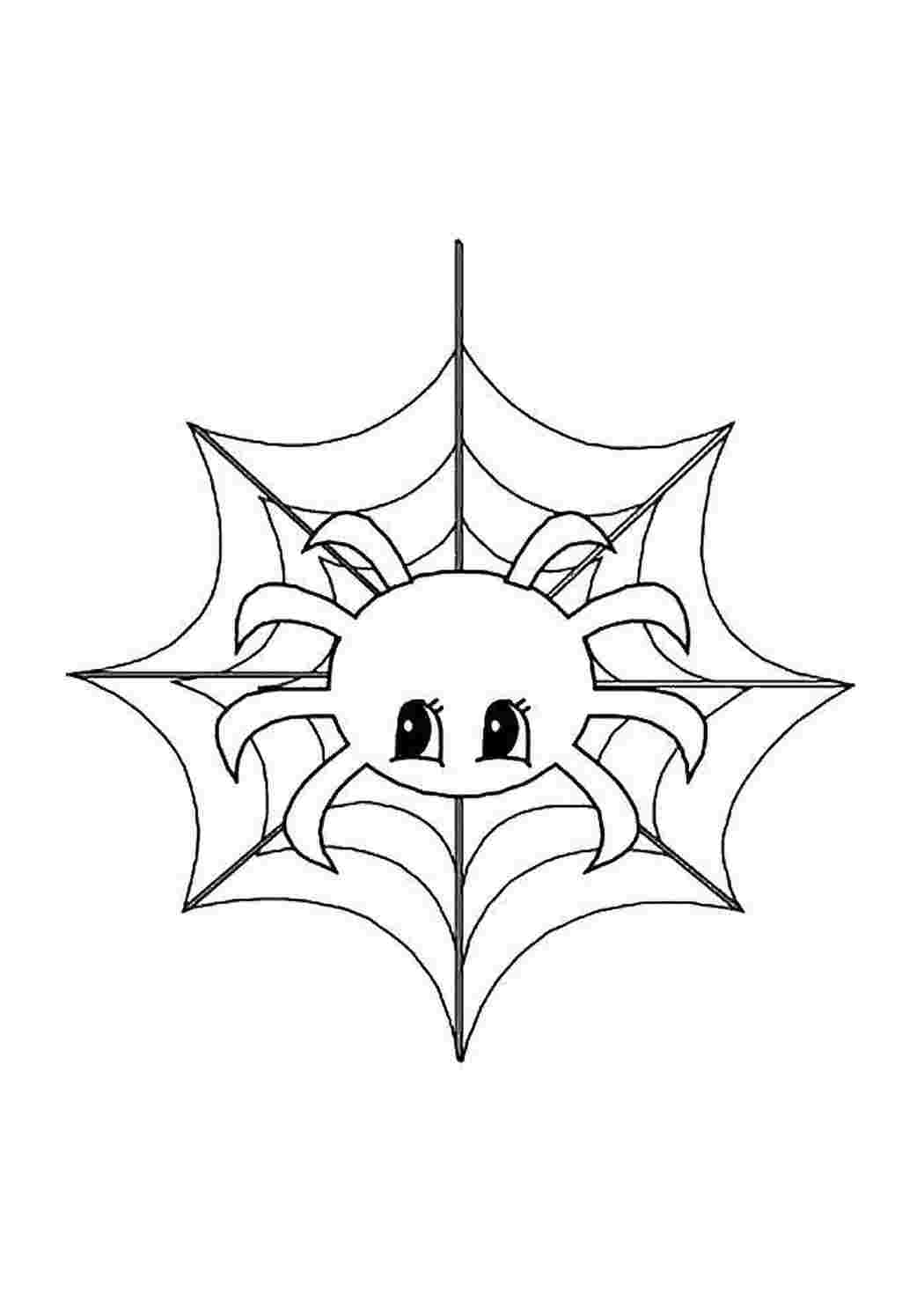 Раскраска Павук на павутині