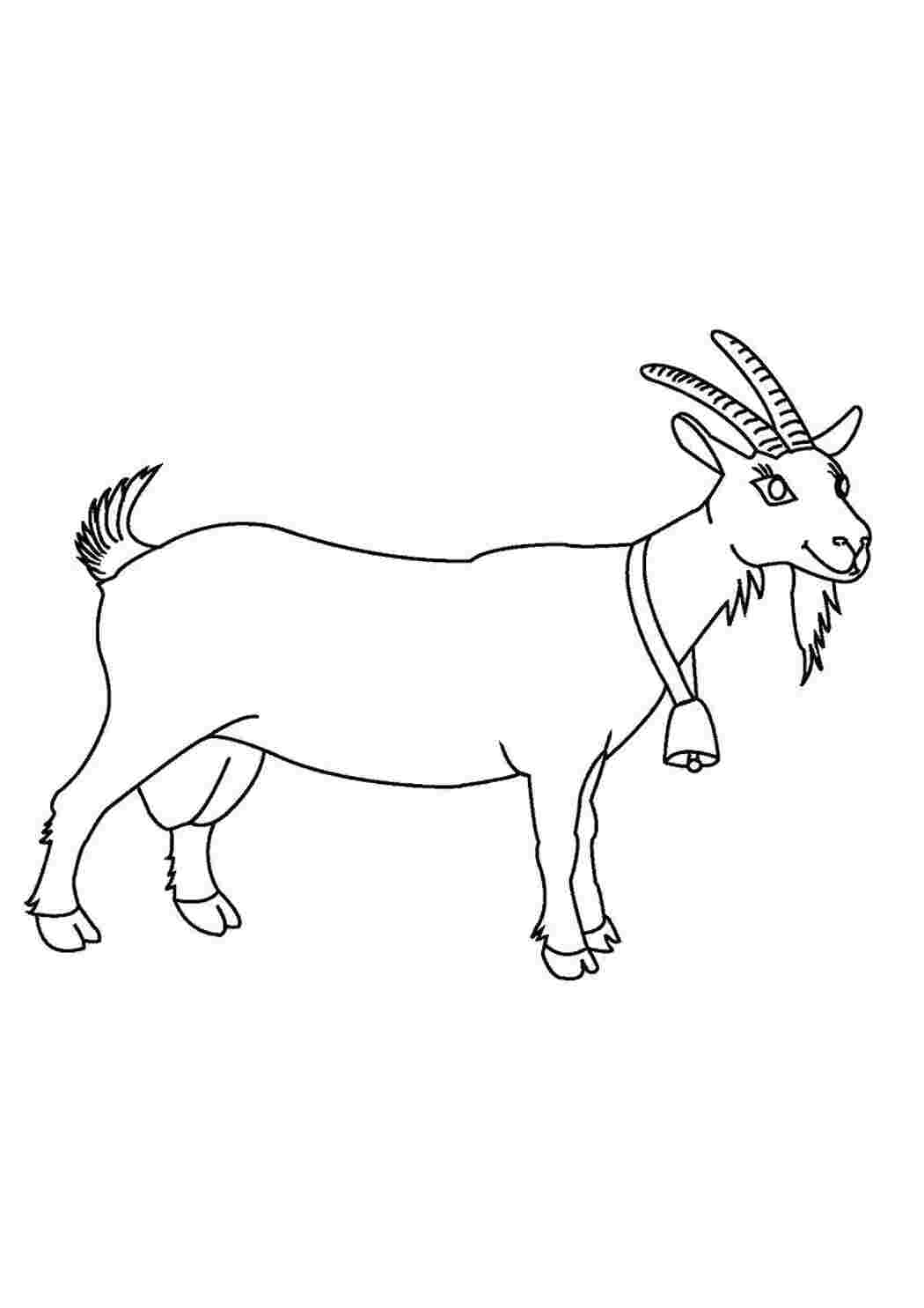 Раскраска Козлик