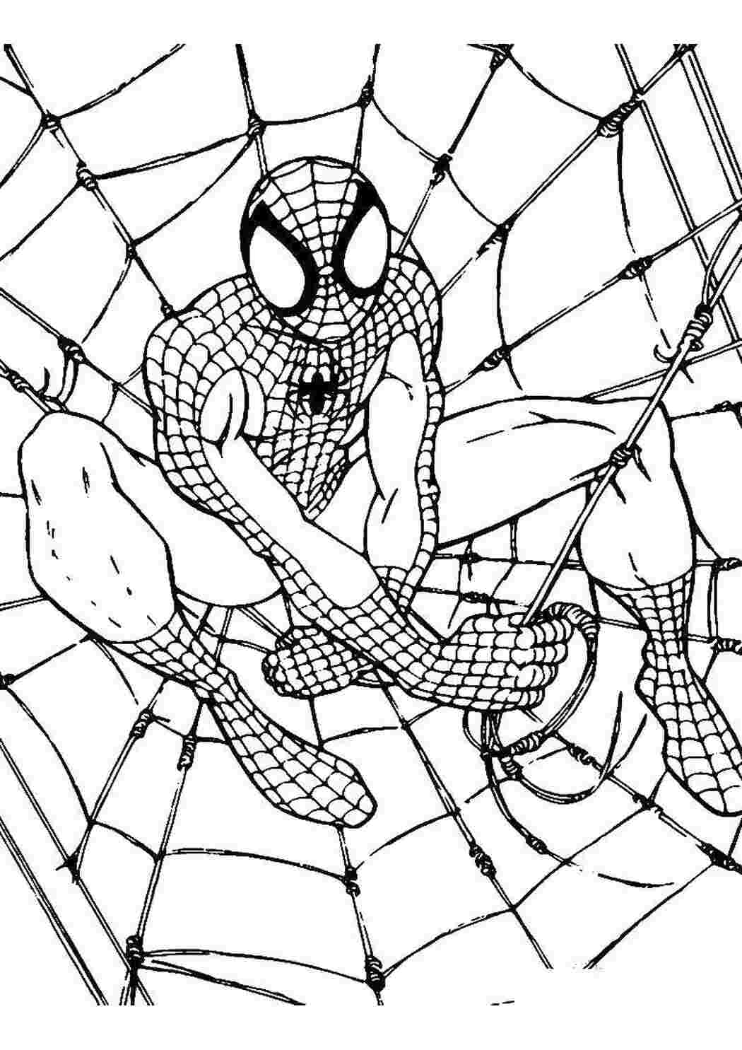 Раскраска Людина павук