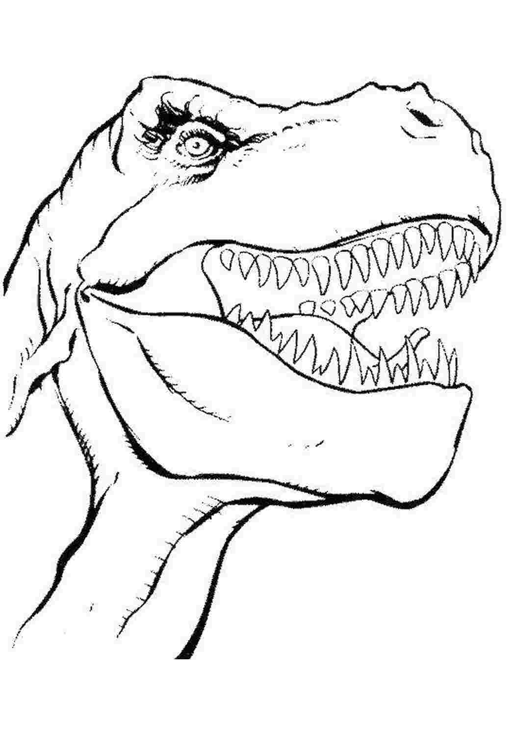 Раскраска Морда динозавра