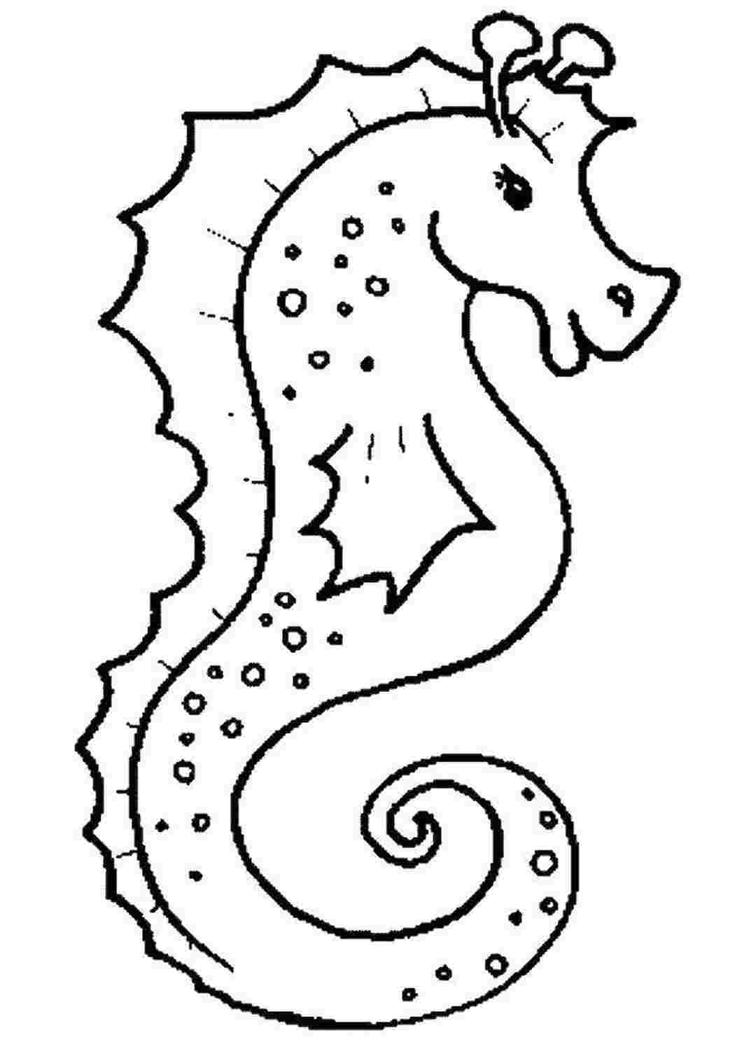 Раскраска Морський коник