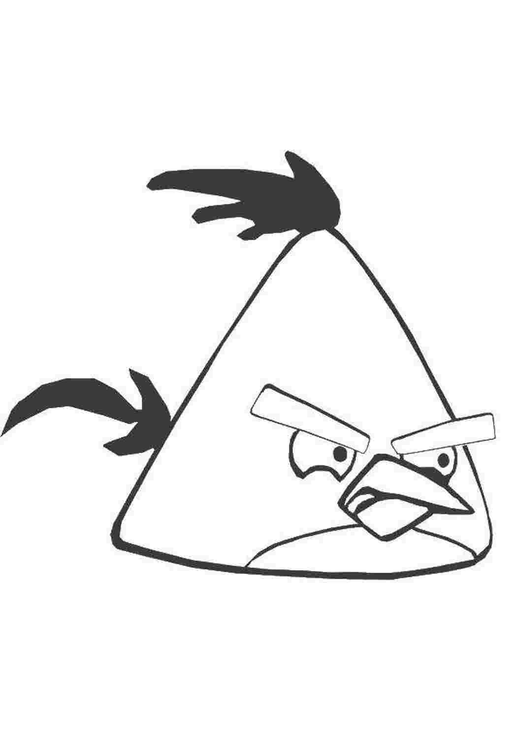 Раскраска Пташка з Angry Birds