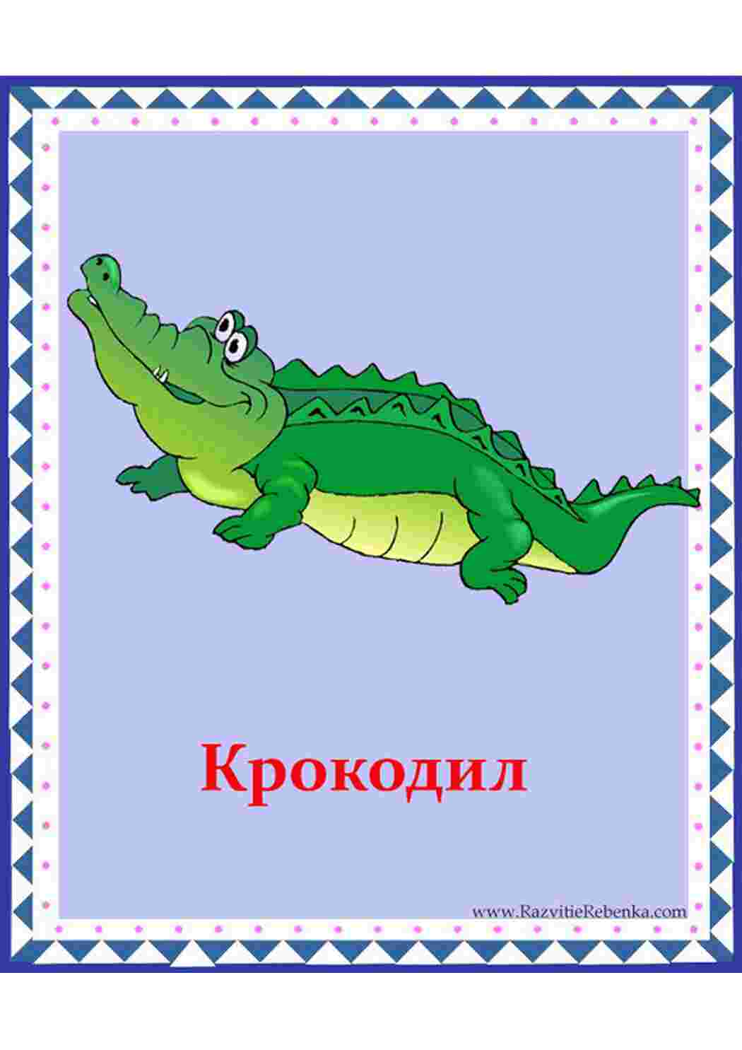 Раскраска картки морські мешканці