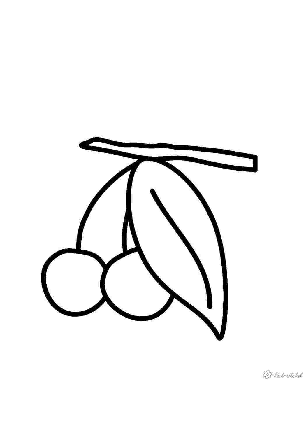 Раскраска Вишня на гілці з листям