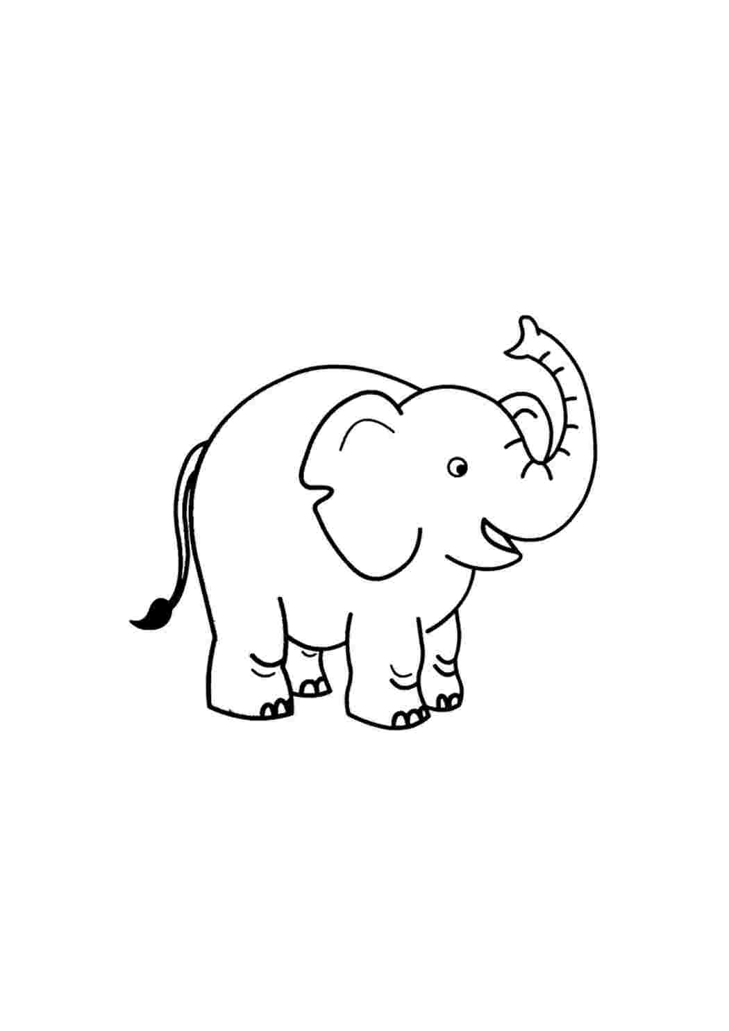 Раскраска Гарні розмальовки Забавна мила тваринка