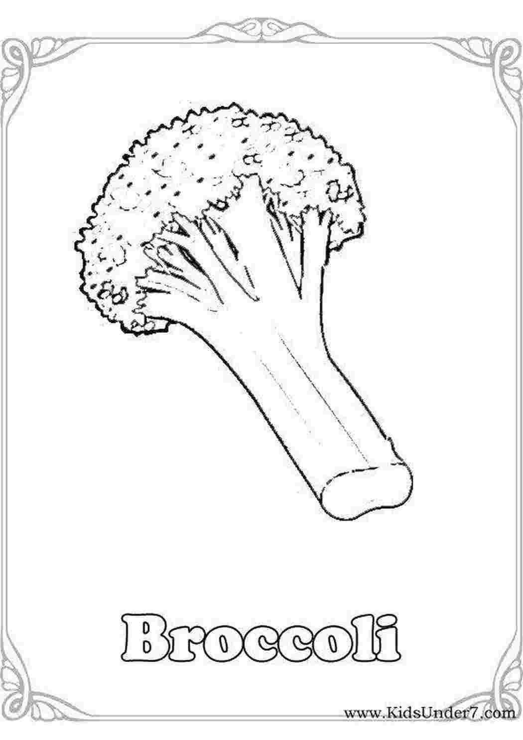 Раскраска Брокколі