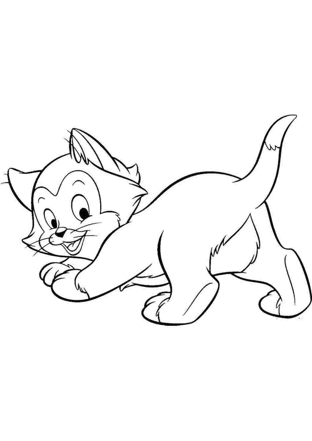 Раскраска Кошеня