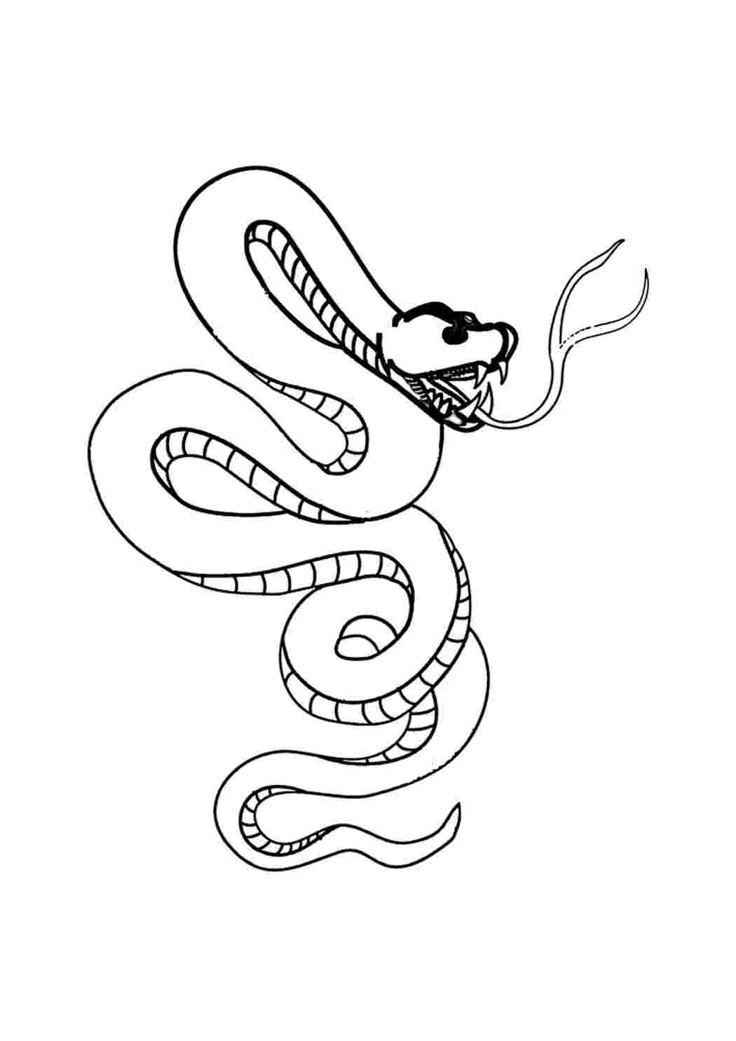 Раскраска Гарні розмальовки Небезпечна для людини тварина