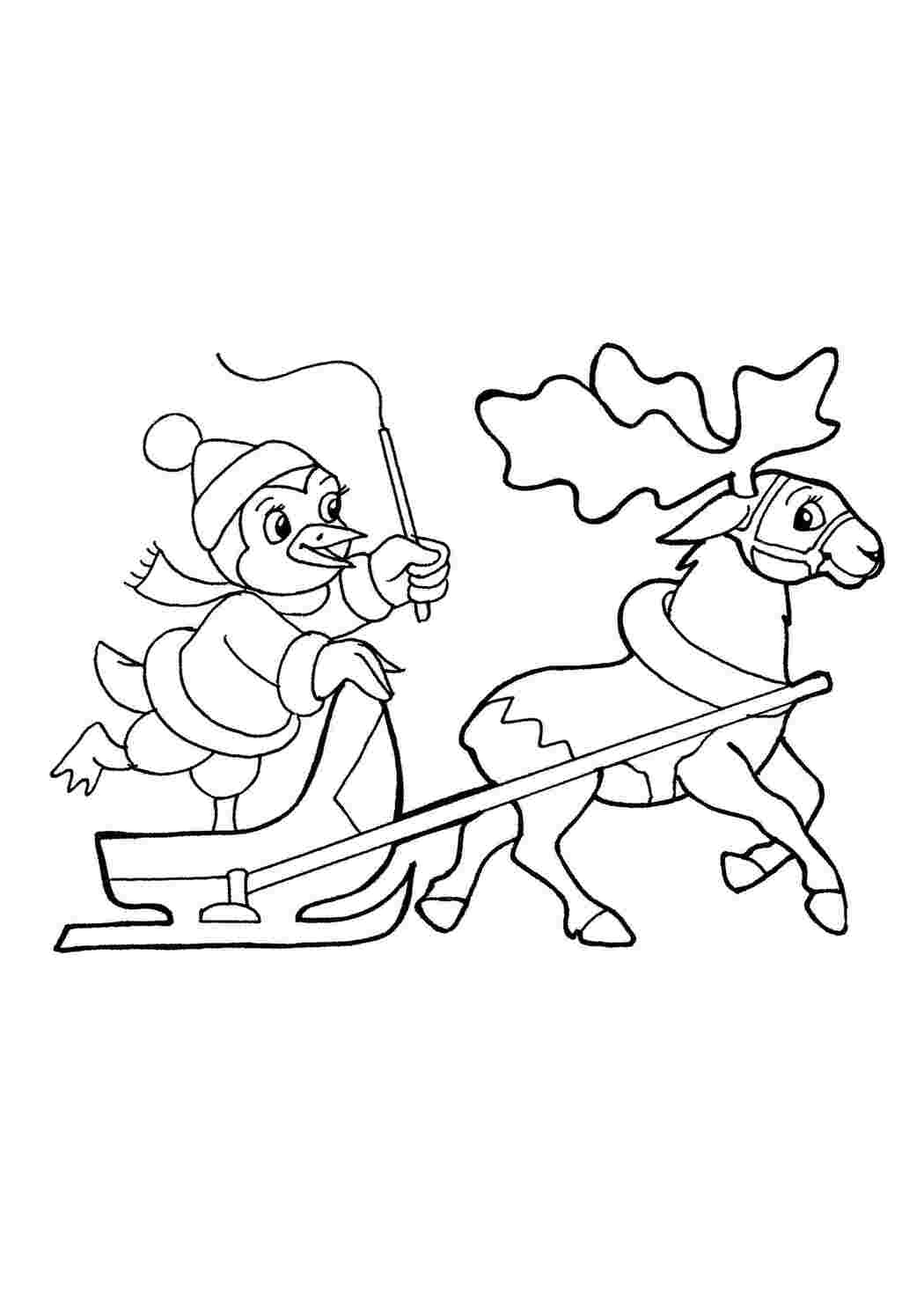 Раскраска Північний олень везе пінгвіна на санях