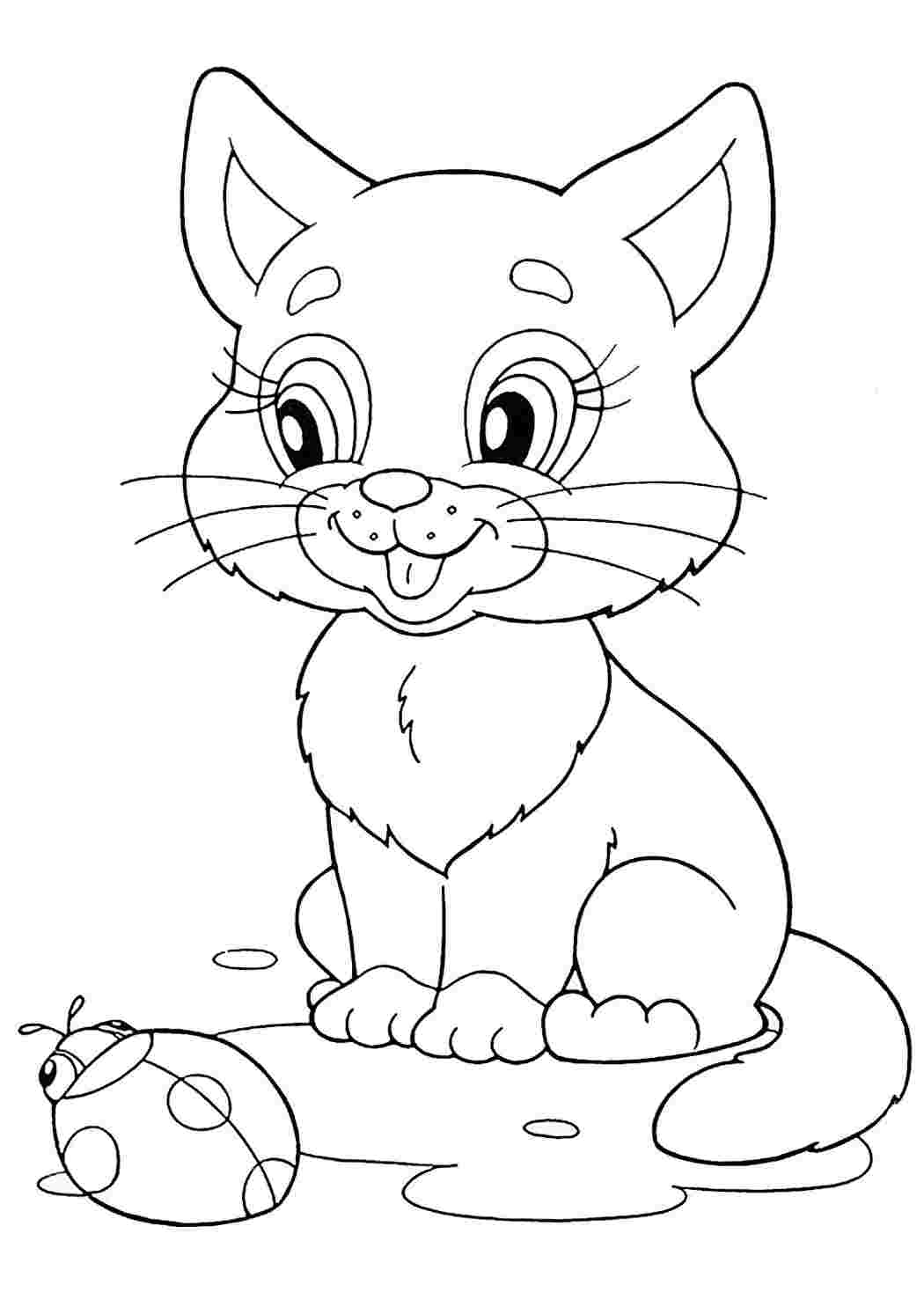 Раскраска Кошеня з божжою коровкою