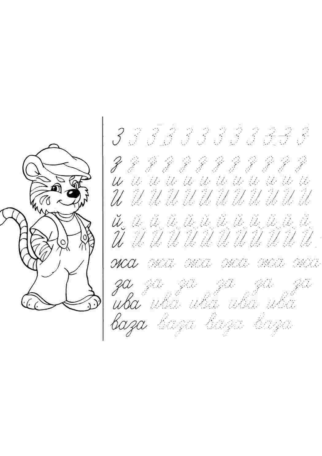 Раскраска Тигря