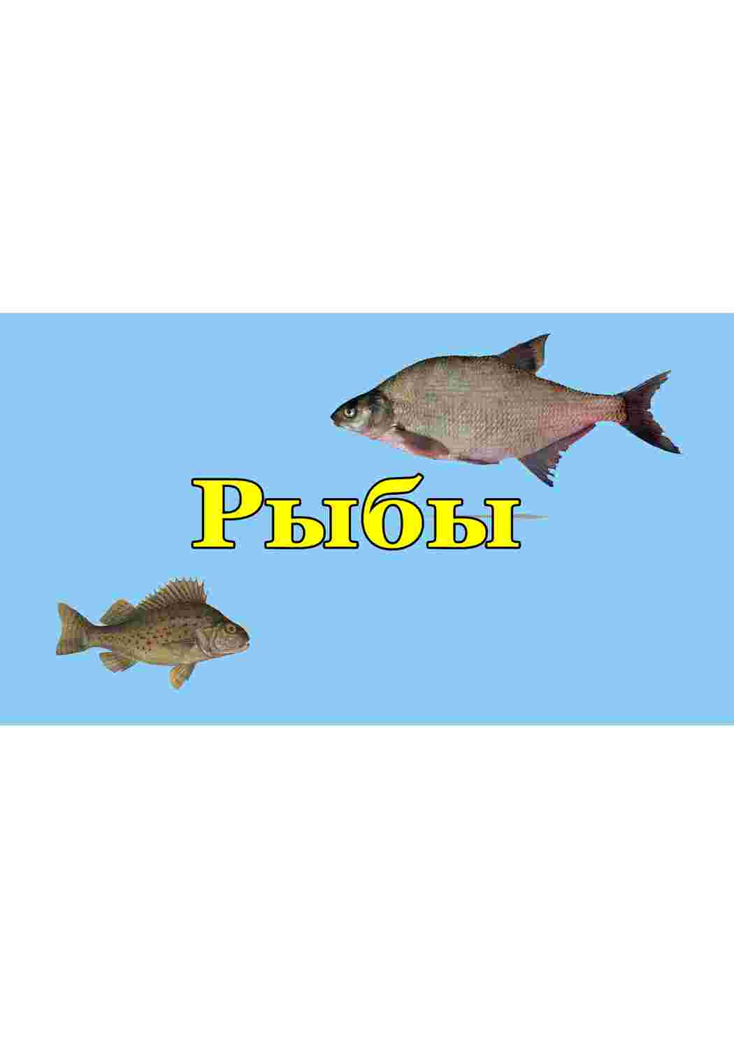 Раскраска картки з рибами