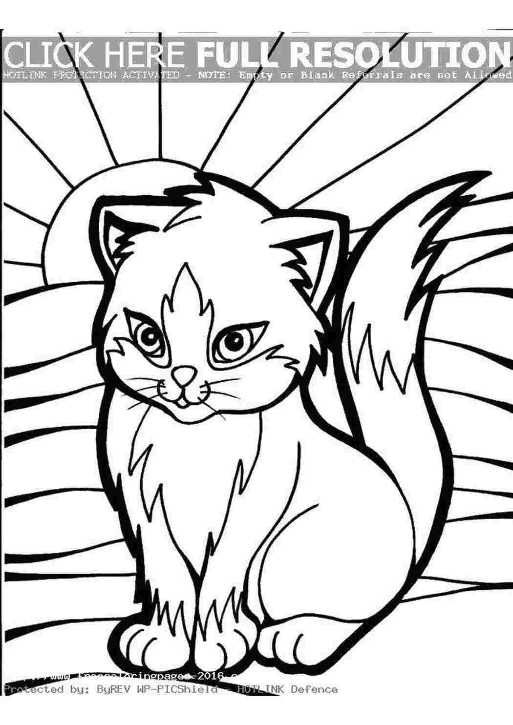 Раскраска Кішка і сонце