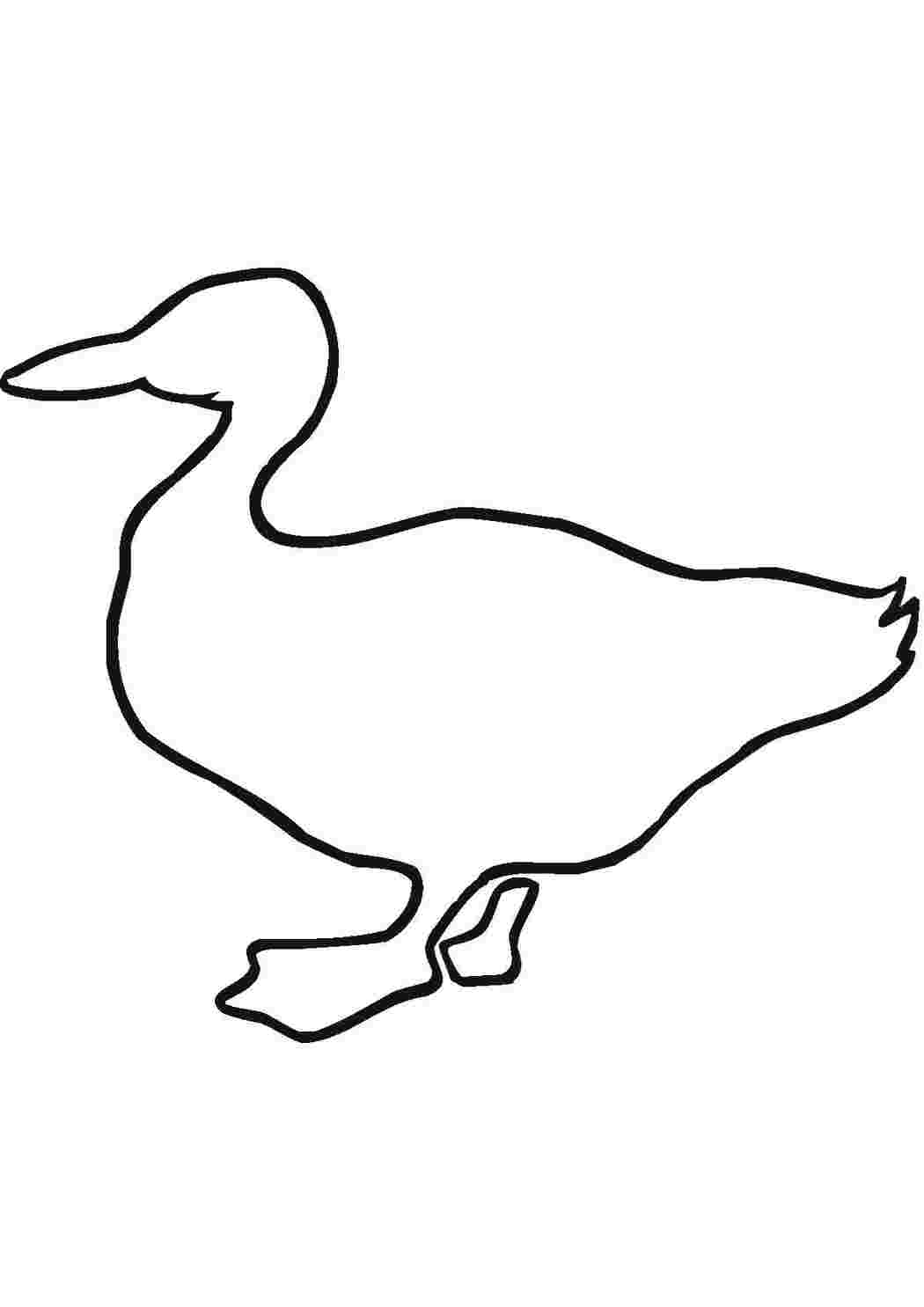 Раскраска 