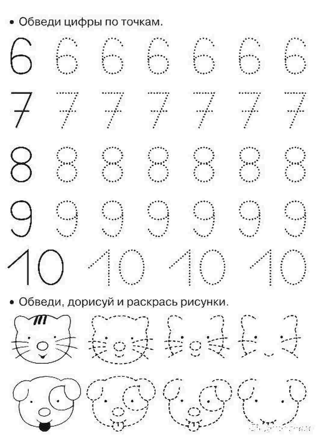 Раскраска Обведи та розфарбуй