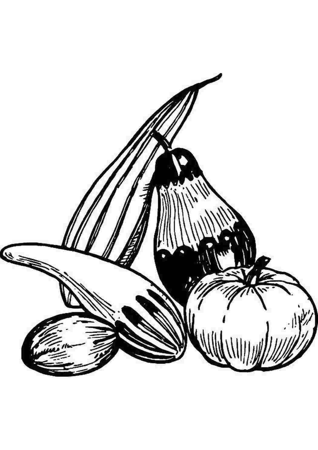 Раскраска Овочі