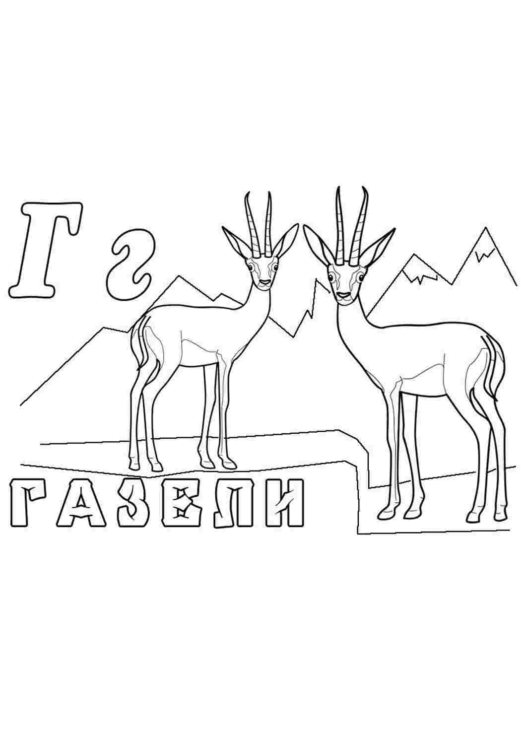 Раскраска Розфарбунки тварини газель