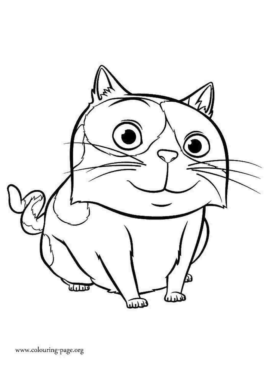 Раскраска Товстий котик