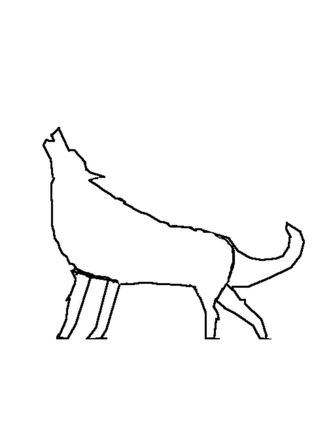 Раскраска 