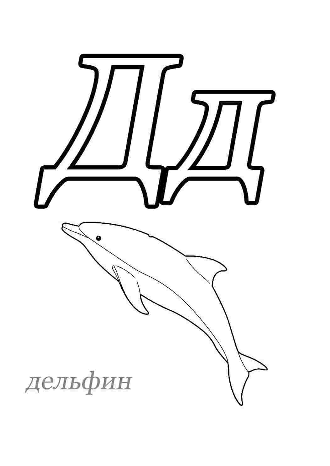 Раскраска Буква Д Дельфін