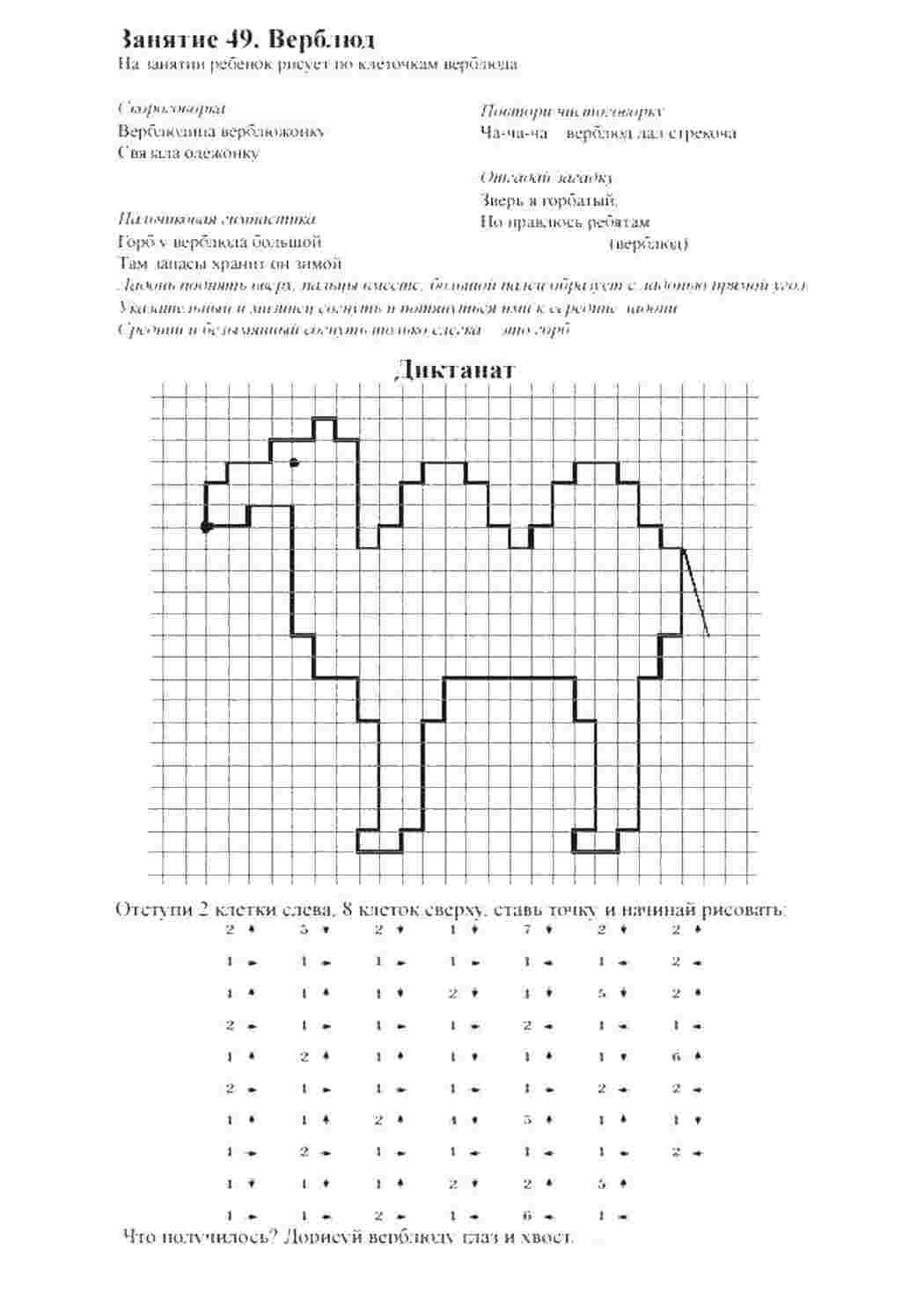 Раскраска Верблюд