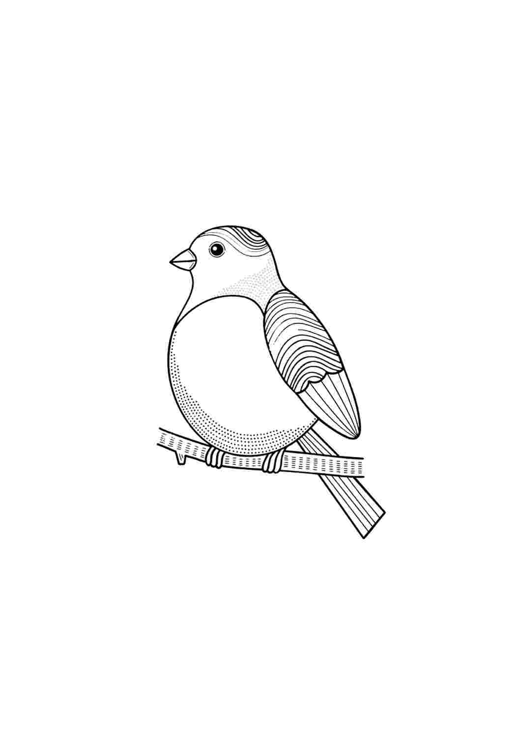 Раскраска Гарні розмальовки Пташка відпочиває на гілочці
