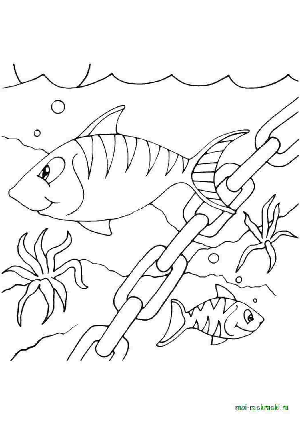 Раскраска Риби на дні моря